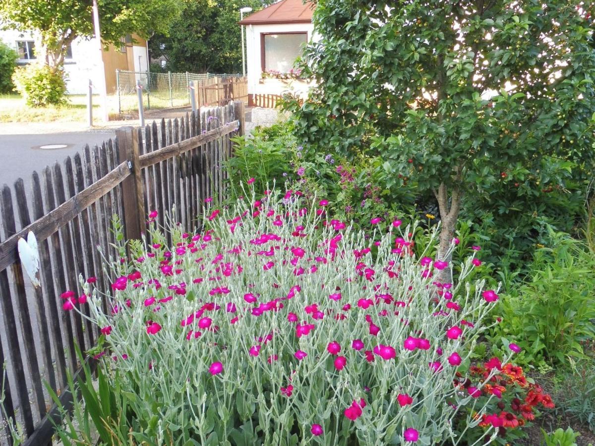 Apartment With Terrace And Pool In The Garden Pracht Exterior foto